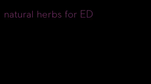 natural herbs for ED
