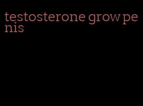 testosterone grow penis