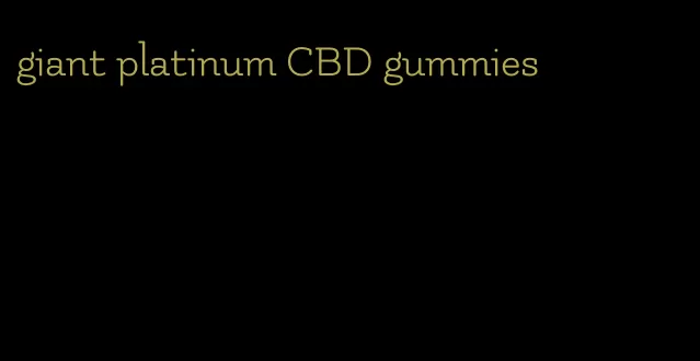 giant platinum CBD gummies