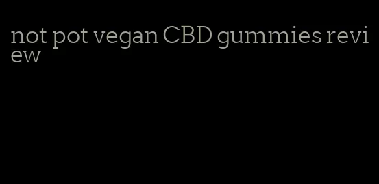not pot vegan CBD gummies review