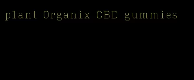 plant Organix CBD gummies