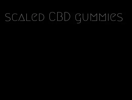 scaled CBD gummies
