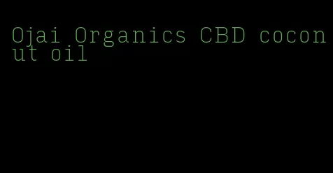 Ojai Organics CBD coconut oil