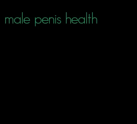 male penis health