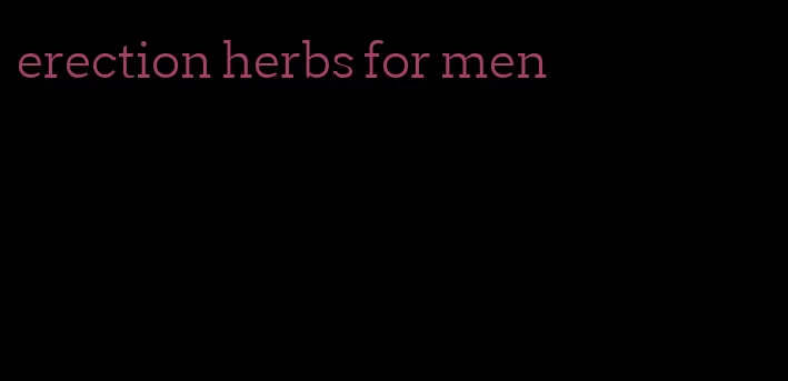 erection herbs for men