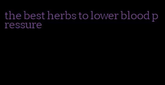 the best herbs to lower blood pressure