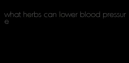 what herbs can lower blood pressure