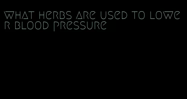 what herbs are used to lower blood pressure