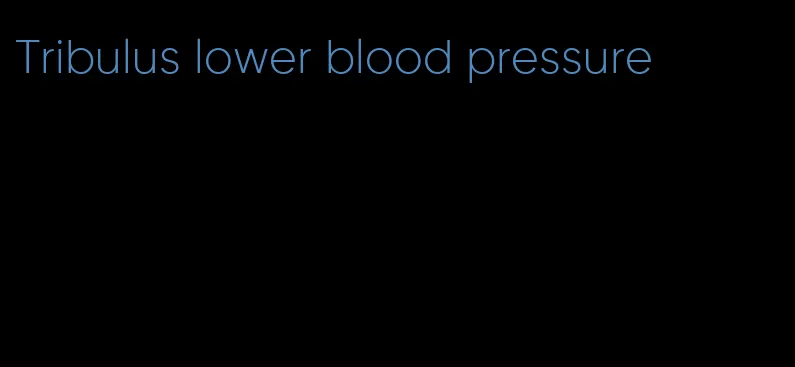 Tribulus lower blood pressure