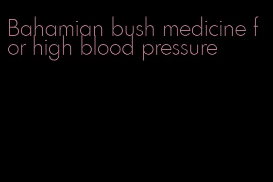 Bahamian bush medicine for high blood pressure
