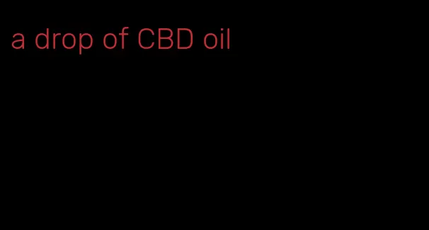 a drop of CBD oil