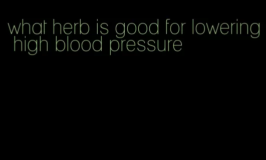 what herb is good for lowering high blood pressure