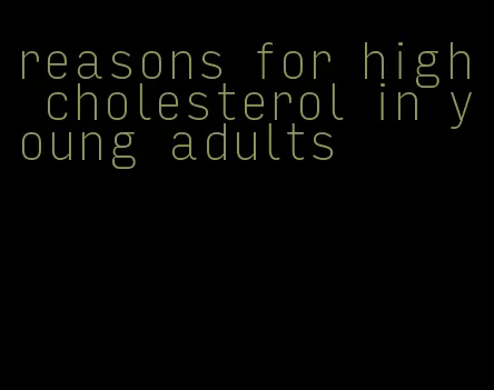 reasons for high cholesterol in young adults
