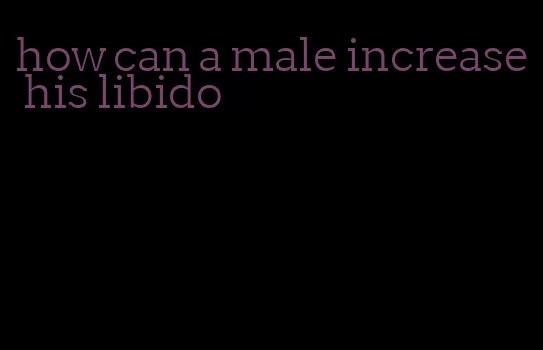 how can a male increase his libido