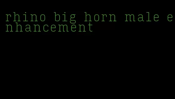 rhino big horn male enhancement