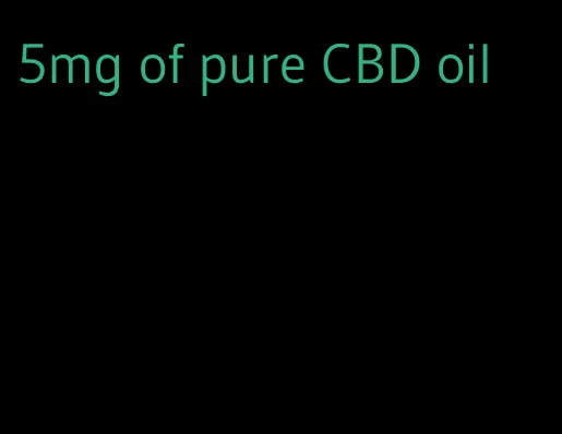 5mg of pure CBD oil