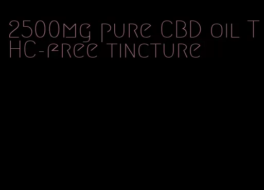 2500mg pure CBD oil THC-free tincture