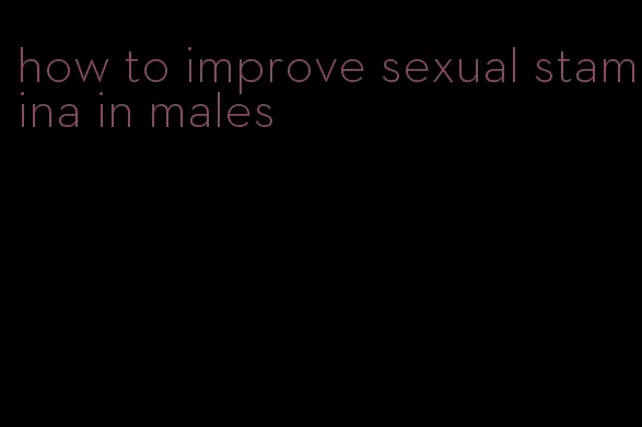 how to improve sexual stamina in males