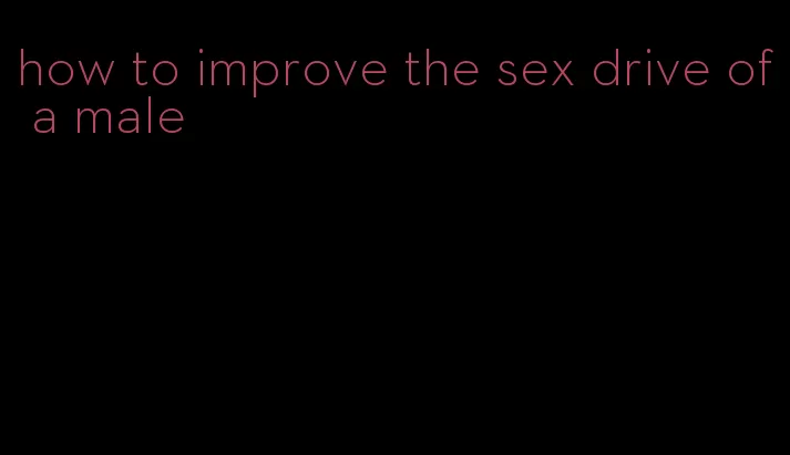 how to improve the sex drive of a male