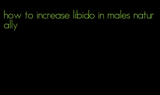 how to increase libido in males naturally