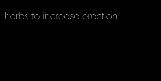 herbs to increase erection