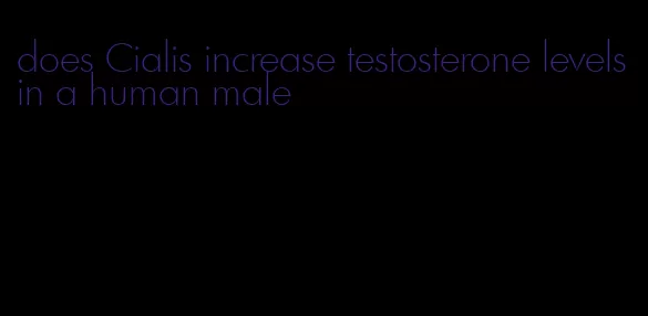 does Cialis increase testosterone levels in a human male