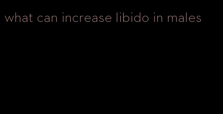 what can increase libido in males