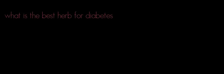 what is the best herb for diabetes