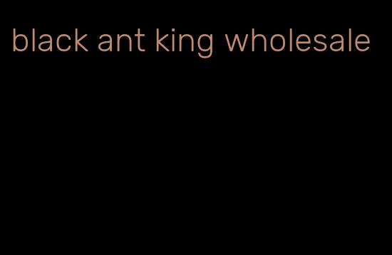 black ant king wholesale