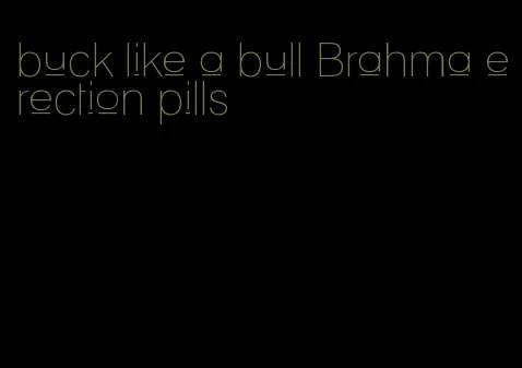 buck like a bull Brahma erection pills