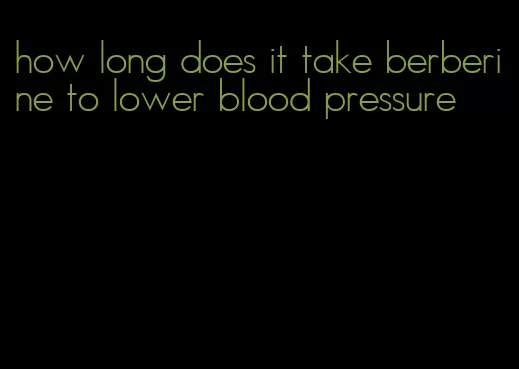 how long does it take berberine to lower blood pressure