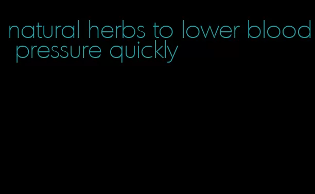 natural herbs to lower blood pressure quickly