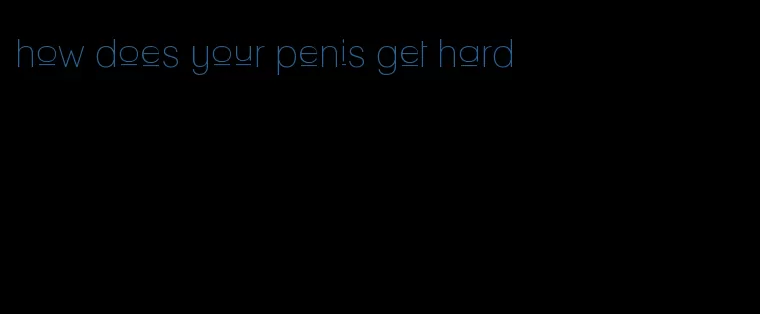 how does your penis get hard