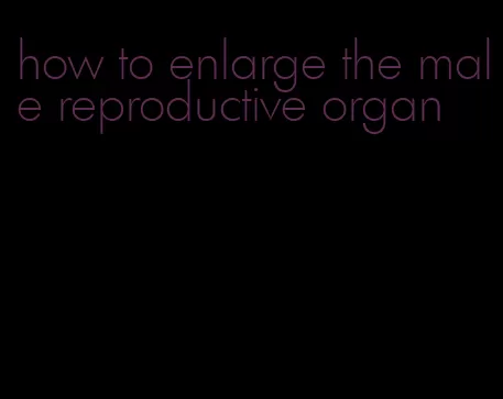 how to enlarge the male reproductive organ