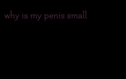 why is my penis small
