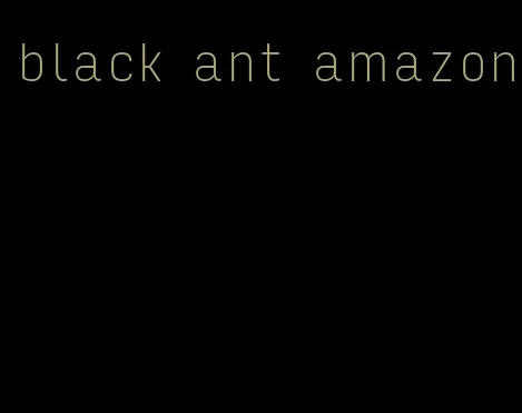 black ant amazon