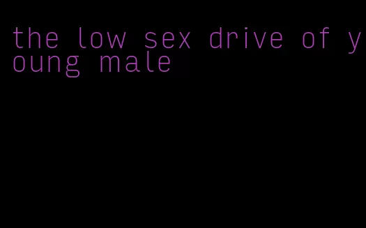 the low sex drive of young male