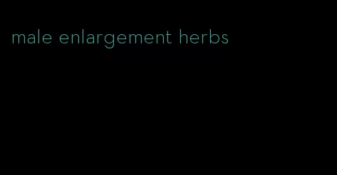 male enlargement herbs