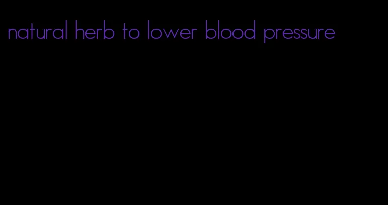 natural herb to lower blood pressure