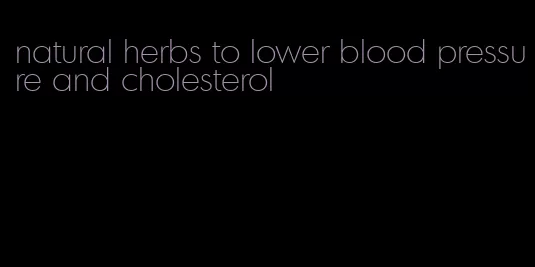 natural herbs to lower blood pressure and cholesterol