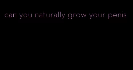 can you naturally grow your penis