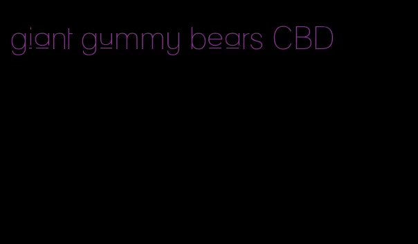 giant gummy bears CBD