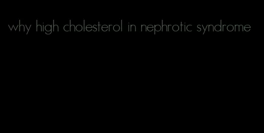 why high cholesterol in nephrotic syndrome