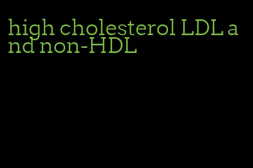high cholesterol LDL and non-HDL