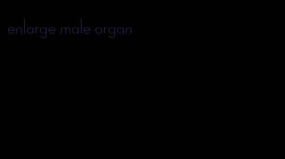 enlarge male organ