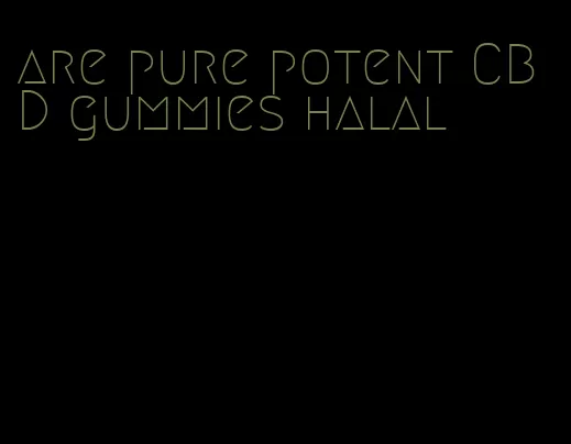 are pure potent CBD gummies halal