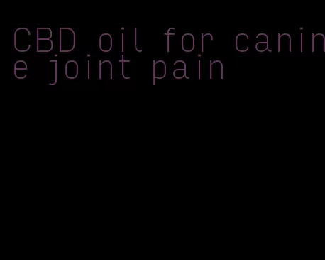 CBD oil for canine joint pain