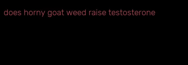 does horny goat weed raise testosterone