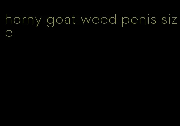 horny goat weed penis size