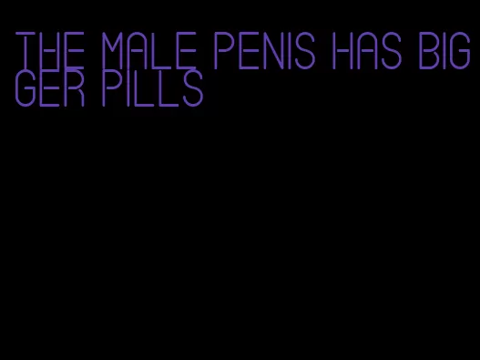 the male penis has bigger pills